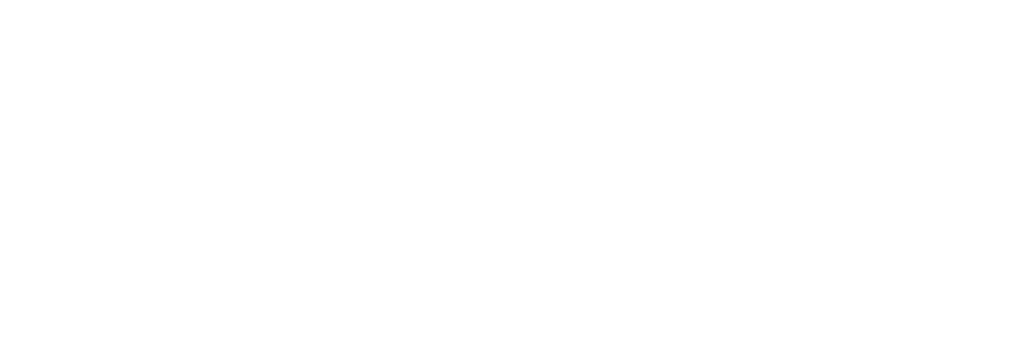 Talon 标志
